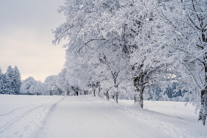 Winter Preparation